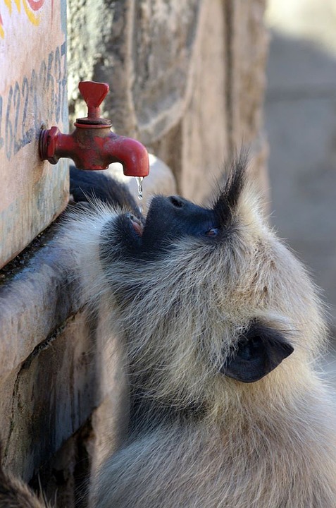 hydration