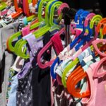 flea prevention