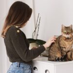 grooming