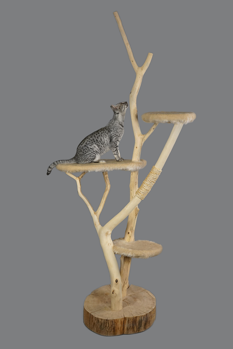 how to stop cat scratching furniture