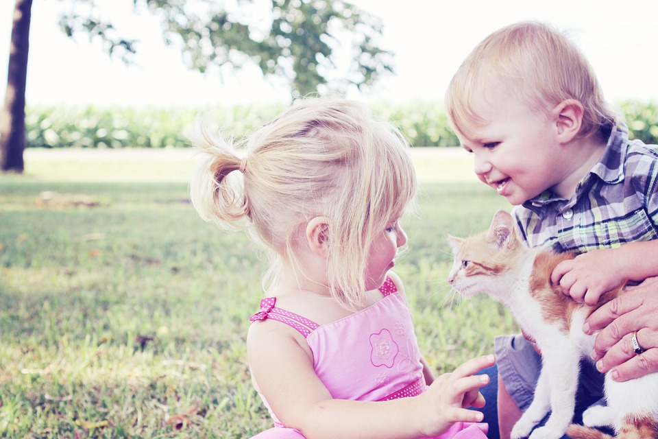 Kitten care