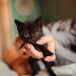 pexels-wildlittlethingsphoto-8076290