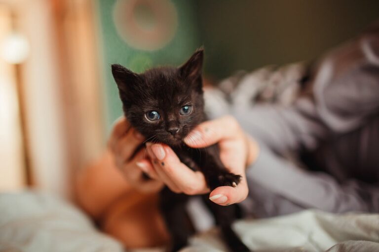 pexels-wildlittlethingsphoto-8076290