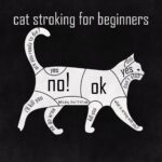 cat-7139806_1280